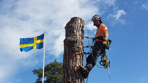 Hedesunda Trädvård AB