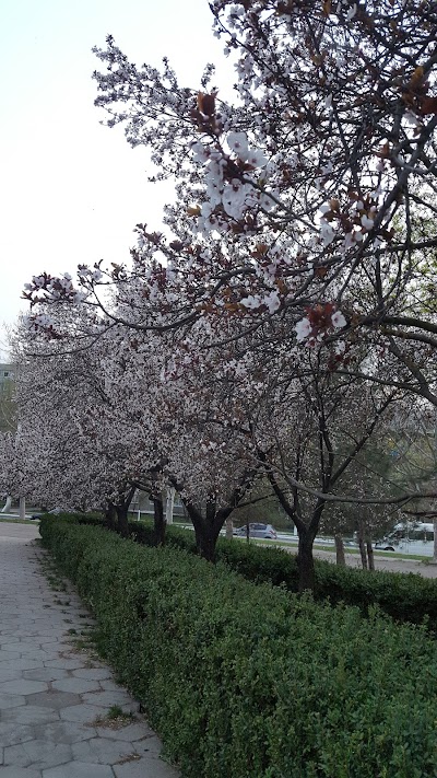 park