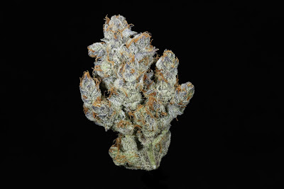 Photo of Cloudberry Cannabis Dispensary | Anchorage