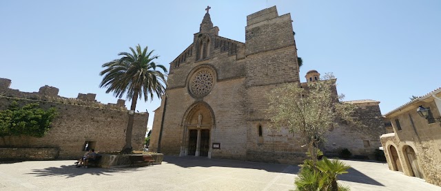 Museu Monogràfic de Pol·lèntia
