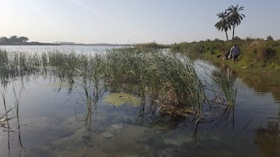 Photos of نهر الكوفة