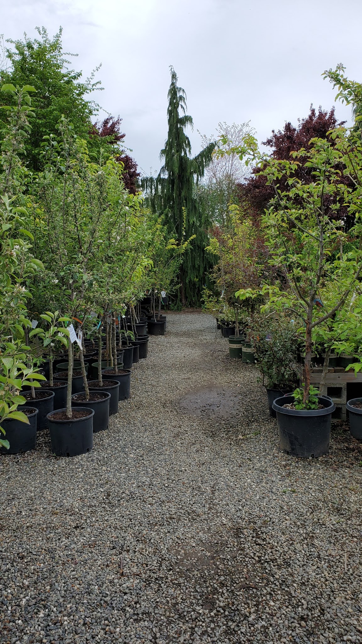 Azusa Garden Centre