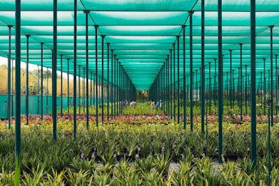 Photos of Green Works