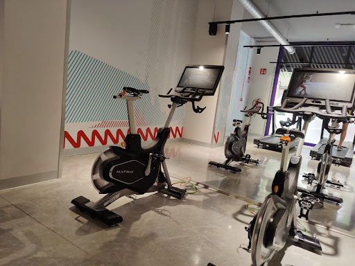 Anytime Fitness Foners - Thumbnail
