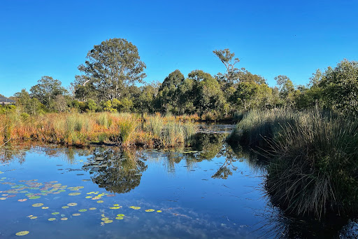 Coombabah Lakelands Conservation Area (Arundel section) - Thumbnail