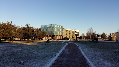 Photos of SPA Amber Palace