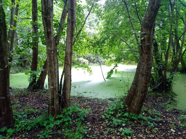 Plage de Gatseau