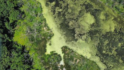 Turtlehead Lake - Visual