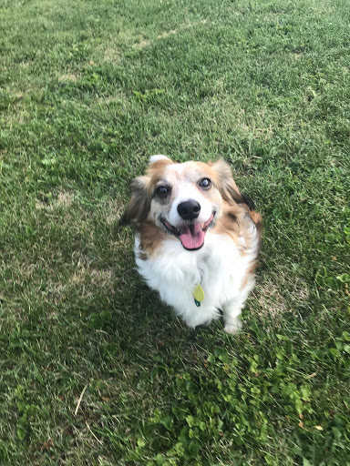 Huron County Humane Society - Thumbnail