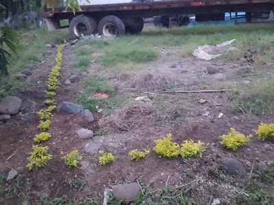 Photos of Residenciales Eureka Ecological Park