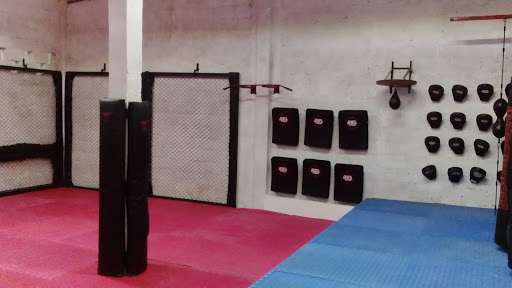 MARIN MMA TEAM TEPEJI - Thumbnail