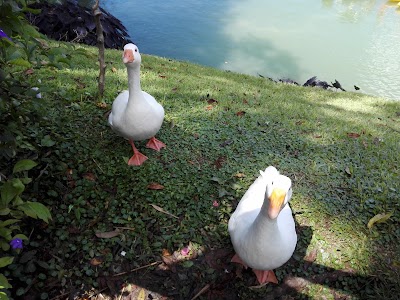 Photos of Comfama Parque Guatap&eacute;