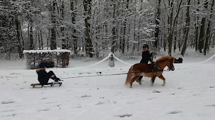 Photo n°11 de CENTRE EQUESTRE DEPT G VALBON UCPA LA COURNEUVE à La Courneuve (Centre équestre)