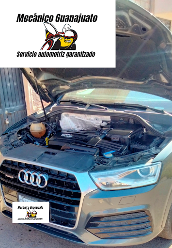 Mecánico Guanajuato