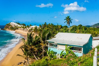 Photos of Boxer Shack
