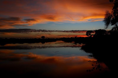 Photos of Kwando Lagoon Camp