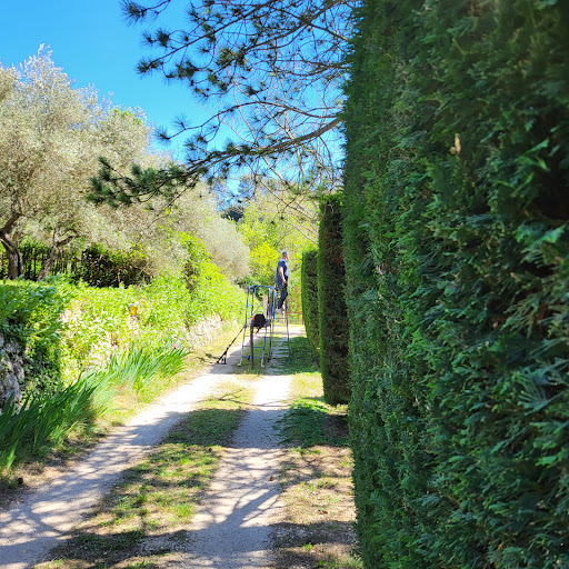 Photo de Sérénité Piscine et Jardins, multi services à Signes (83870)