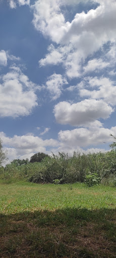 Río turia - Visual
