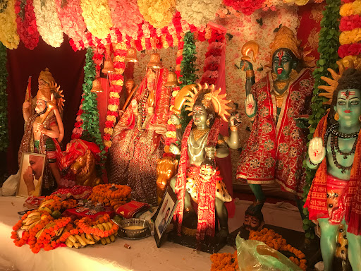 Gallery image 11