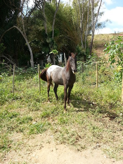 Photos of Pesqueiro do Vitinho
