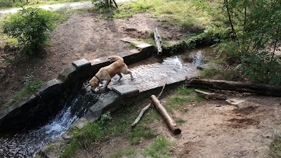 Kleine waterval