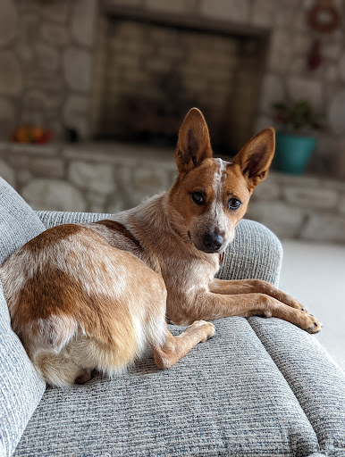 Westlake Veterinary Medical Center