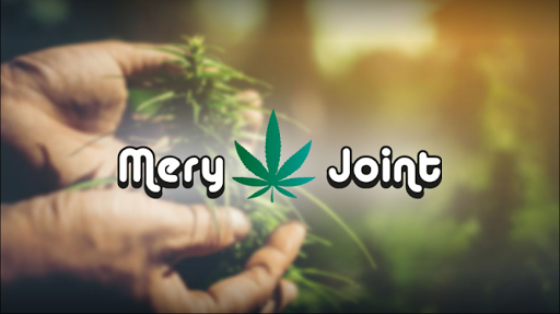 Mery Joint CBD Shop C.Fiorentino - Thumbnail