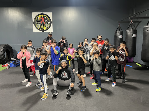 UR Boxing - Visual