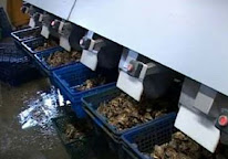 Bertrand Et Fils à Gujan-Mestras