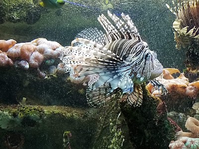 Memphis Zoo Aquarium