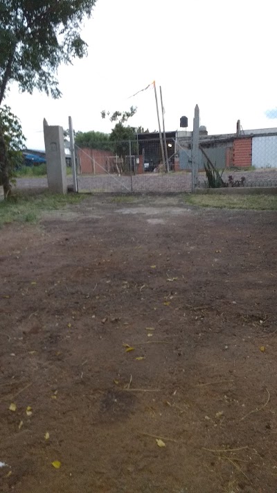 Photos of Maderam