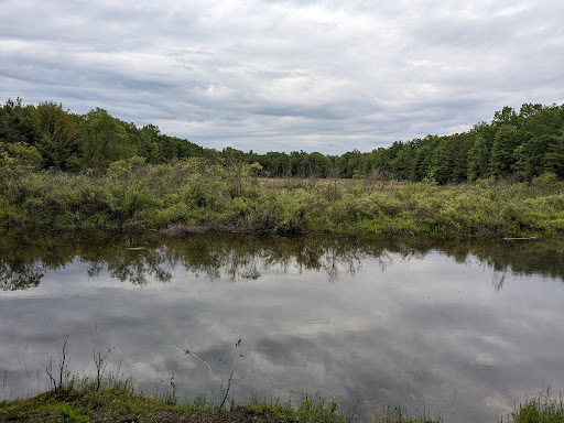 Henderson Lake Disc Golf Course