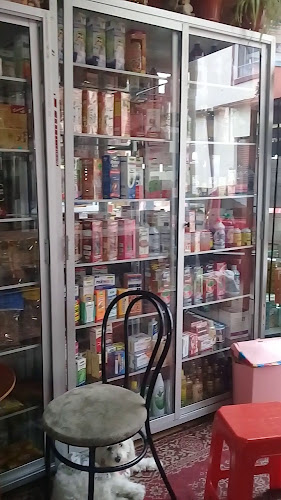 Horarios de Centro Naturista Flor De Lotto