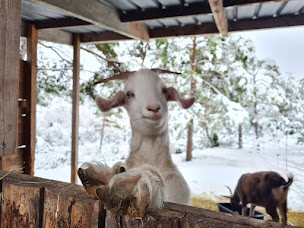 Photo n°2 de Domaine Du Cruvelet à Trigance (Chambre d'hôtes)