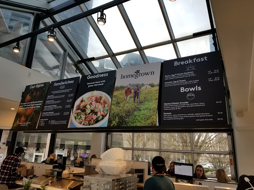 Bellevue Connection - Visual
