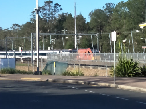 Beerburrum - Visual