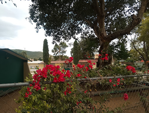 Escuela Telesecundaria Trinidad de Viguera