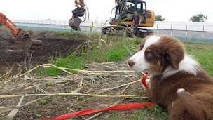 Photo n°3 de Aqualogik à Épinay-sur-Odon (Consultant en environnement)