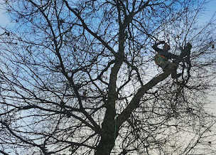 Photo n°3 de Ambiances Piscines & Paysages - Xavier Peyrot à Dieulefit (Service d'élagage)