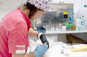 Photo n°16 de Cabinet Vétérinaire Argos à Bègles (Vétérinaire)