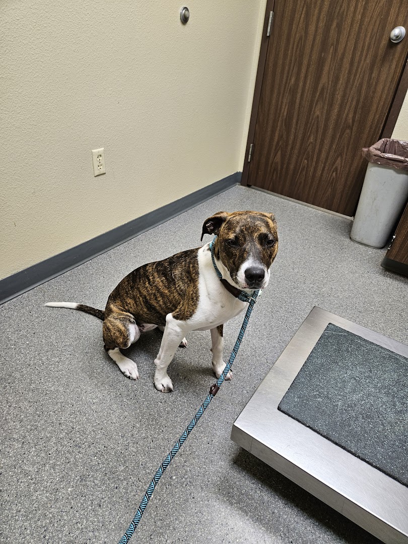 Chippewa Veterinary Clinic SC