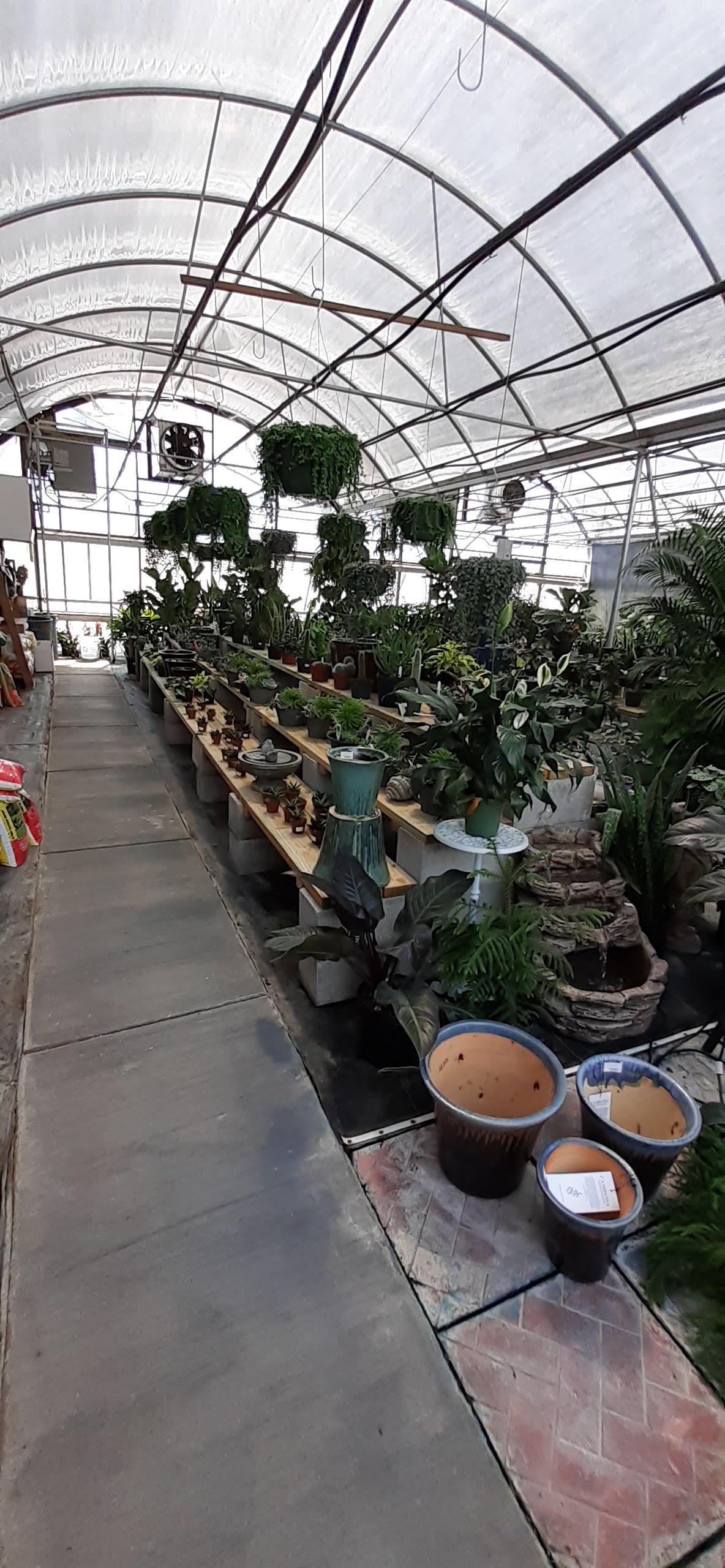 Brafford's Greenhouses