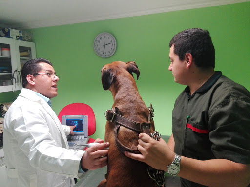 Hospital Veterinario Hera
