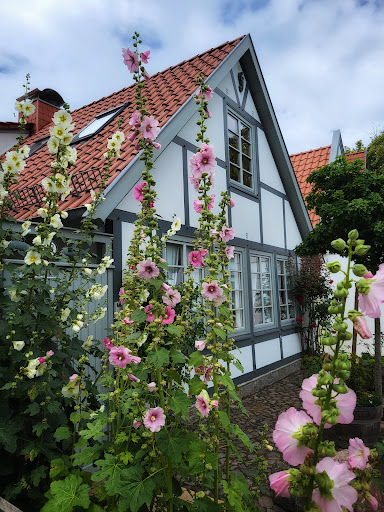 Warnemünder Umgang - Thumbnail