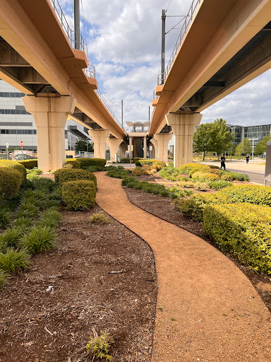 Southwest Medical District/Parkland - Thumbnail