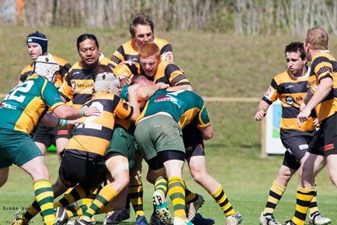 Shoalhaven Rugby Football Club - Thumbnail