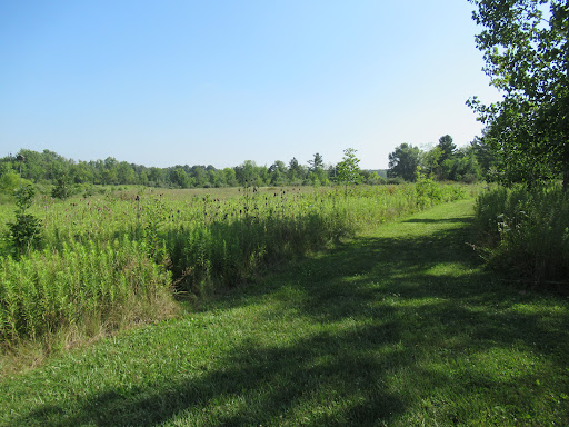 Letha House Park West - Thumbnail