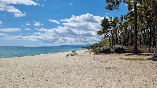 Plage de Pinia