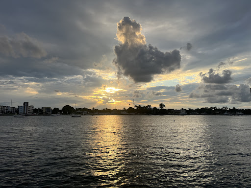 Manatee Queen - Visual