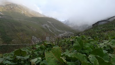 Palakçur Yaylası